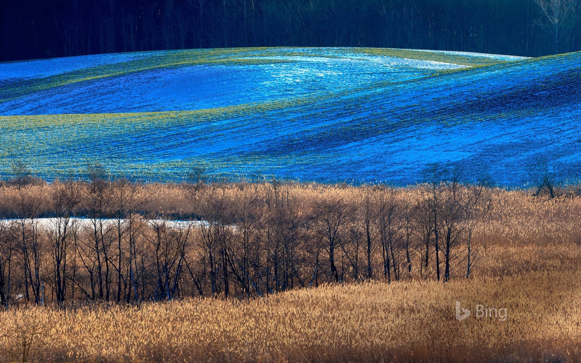 Bing Wallpaper: A rural portion of Gmina Barczewo, Olsztyn County, Poland