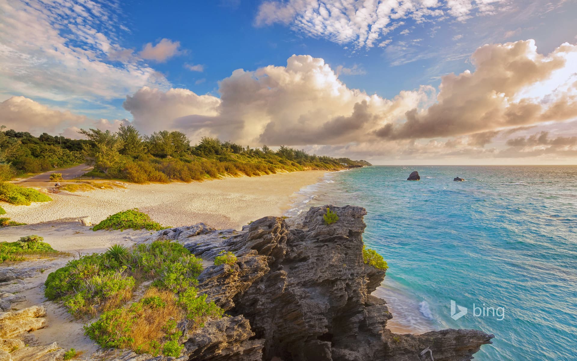 Bing Wallpaper: Warwick Long Bay, Bermuda