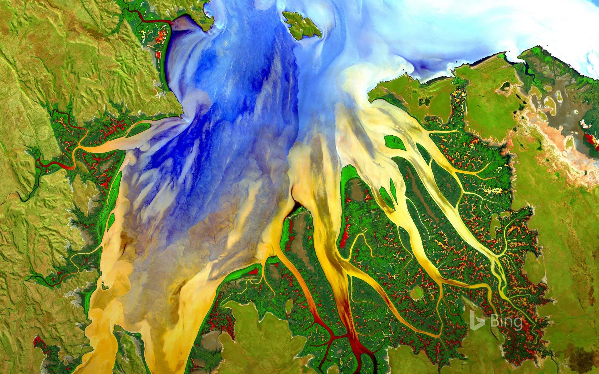Bing Wallpaper: Cambridge Gulf in Western Australia photographed by Landsat 8 satellite