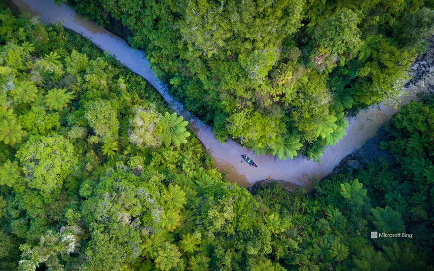 Bing Wallpaper: Whanganui National Park, Retaruke, New Zealand