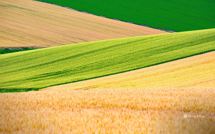 Patchwork Road, Biei, Hokkaido