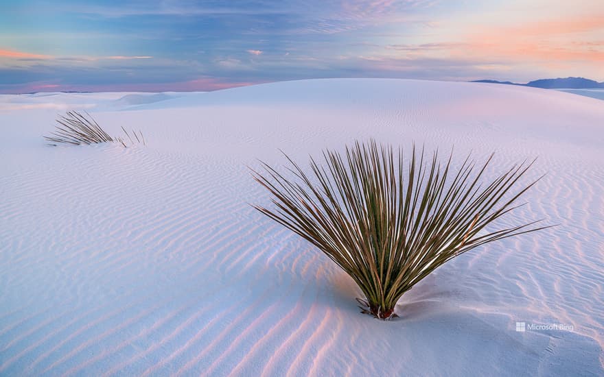 Bing Wallpaper: White Sands National Park, New Mexico