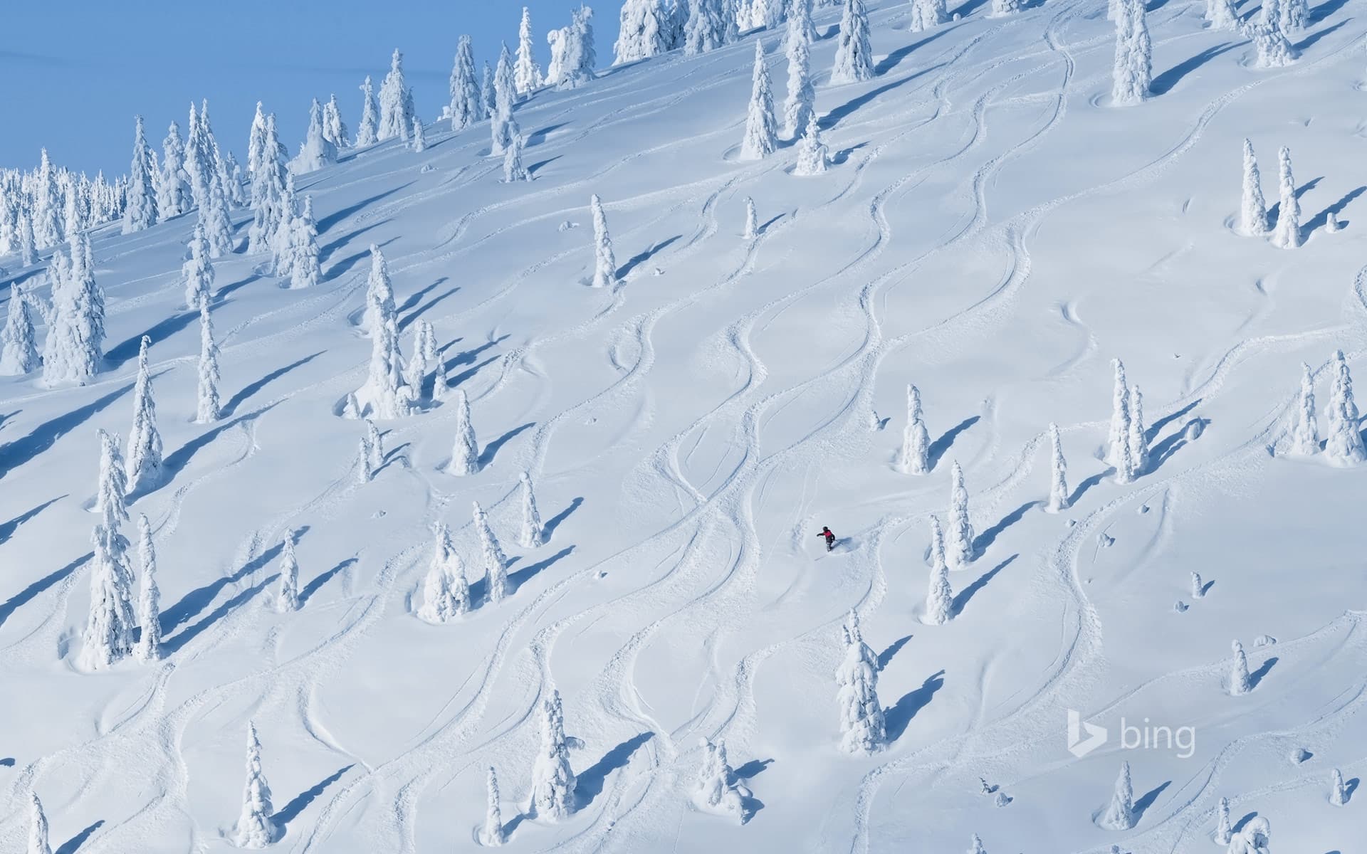 Bing Wallpaper: Hellroaring Peak in the Whitefish Range of Montana