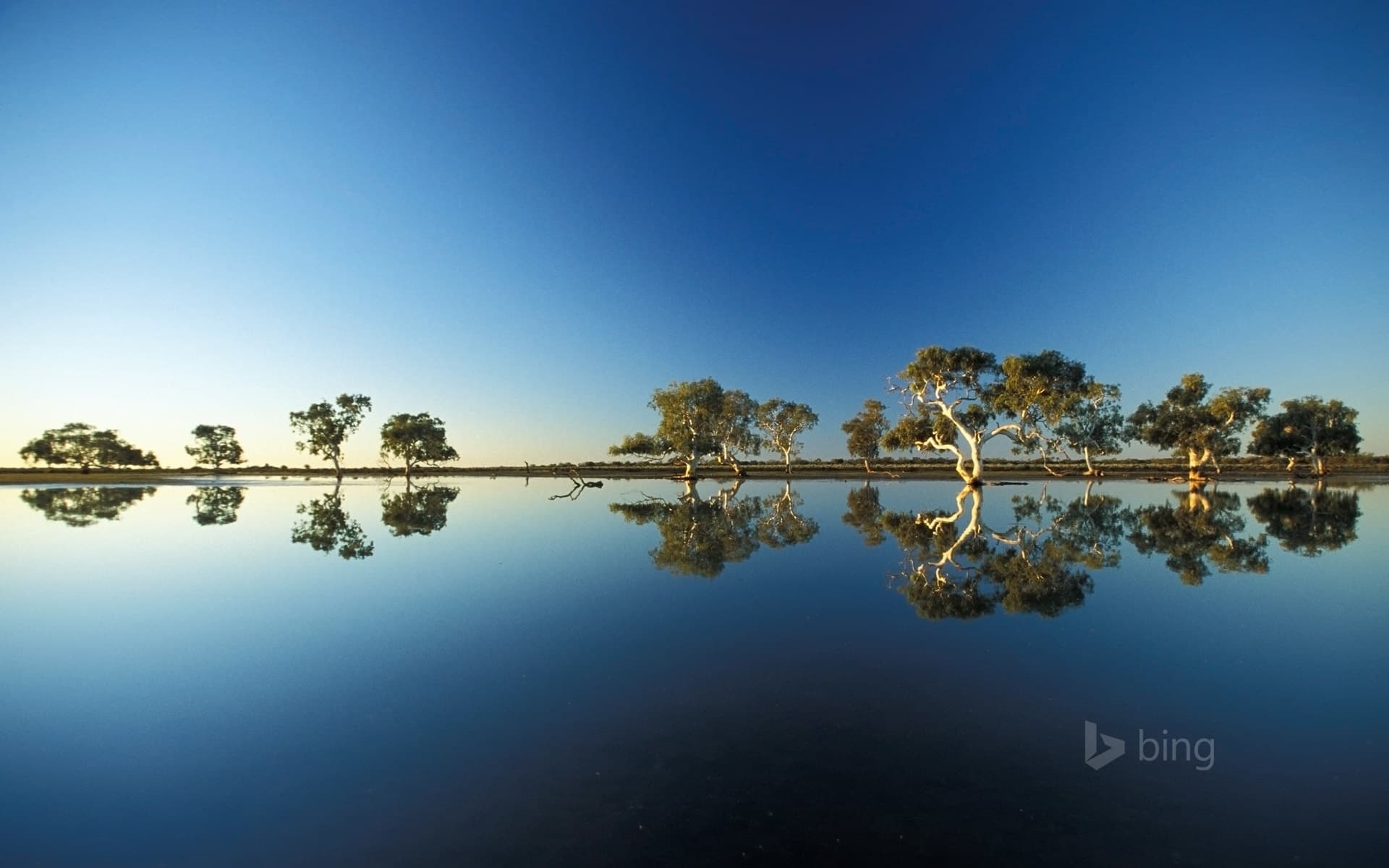 Bing Wallpaper: A billabong in Wooleen Station, Western Australia