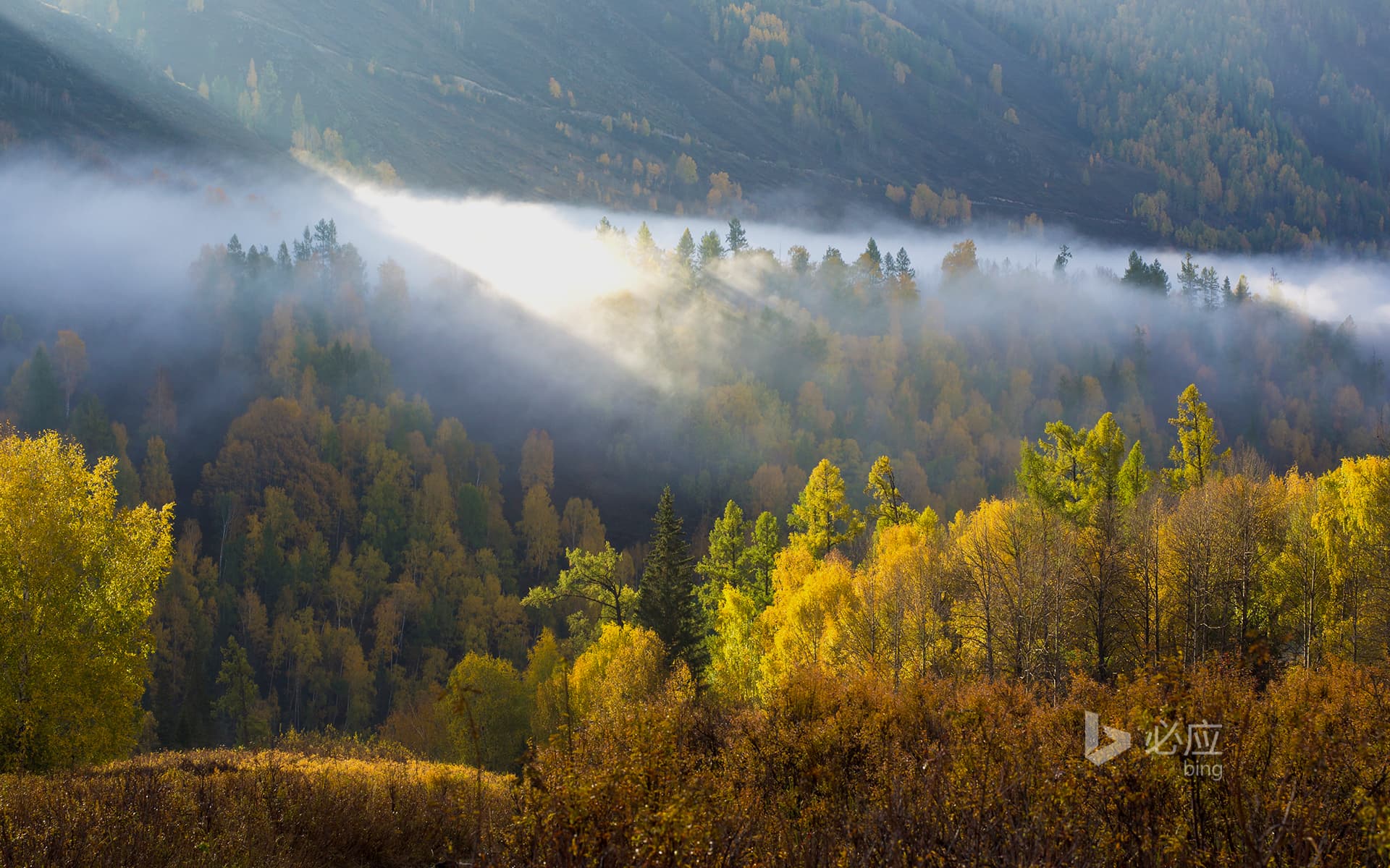 Bing Wallpaper: [Autumn Equinox] Xinjiang, Altay, the sun shines through the morning mist