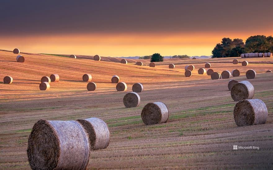 Hay bales, North Yorkshire, England