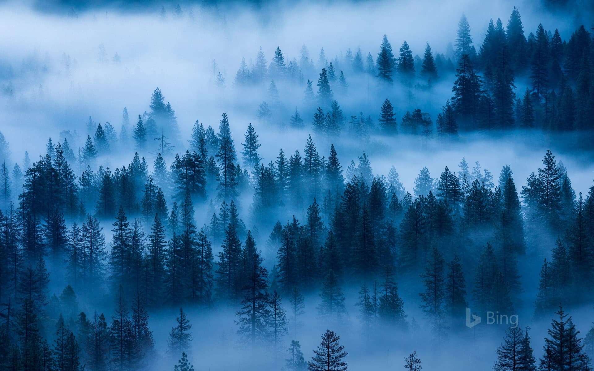 Bing Wallpaper: Yosemite National Park, California