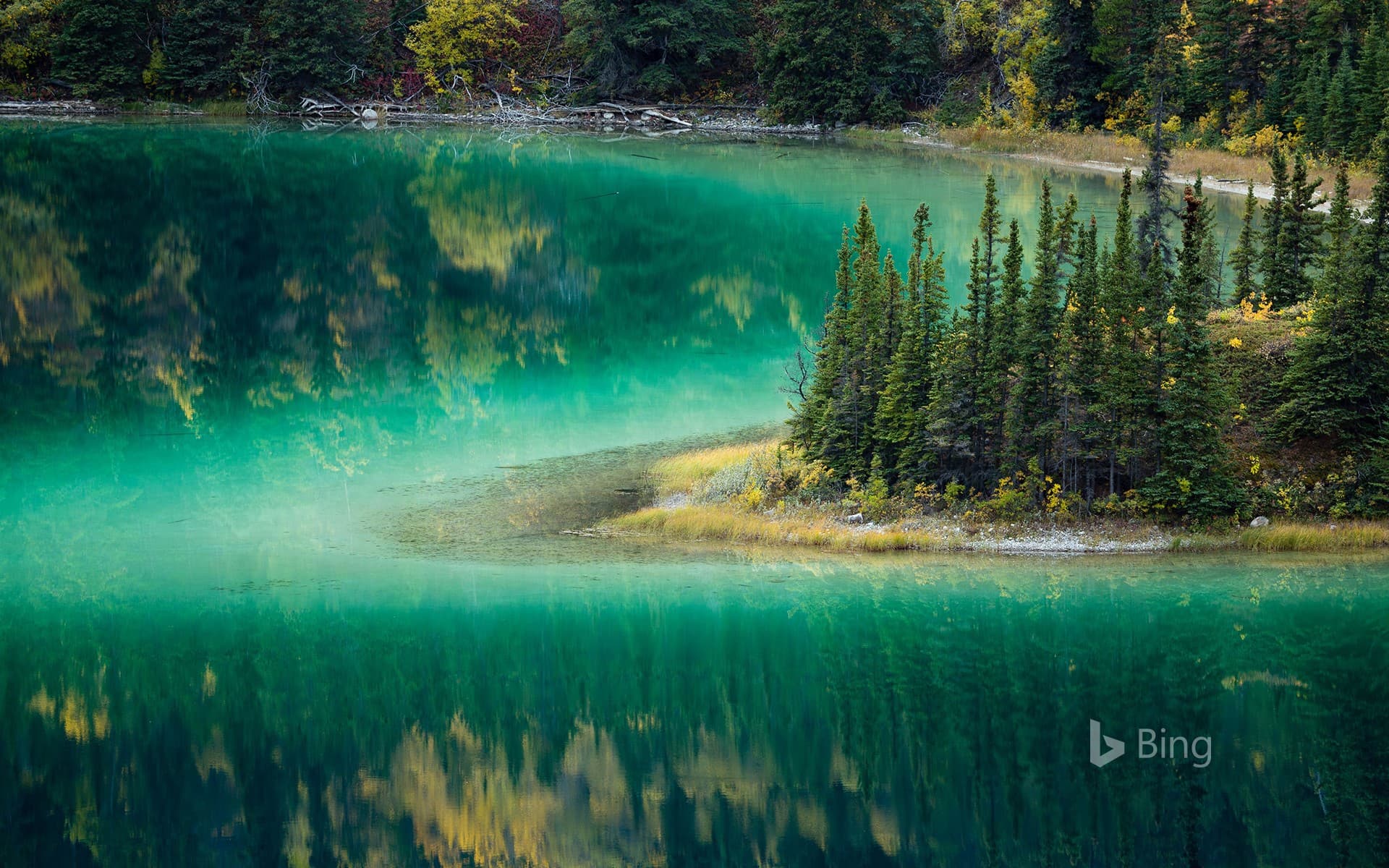 Bing Wallpaper: Emerald Lake near Carcross, Yukon, Canada