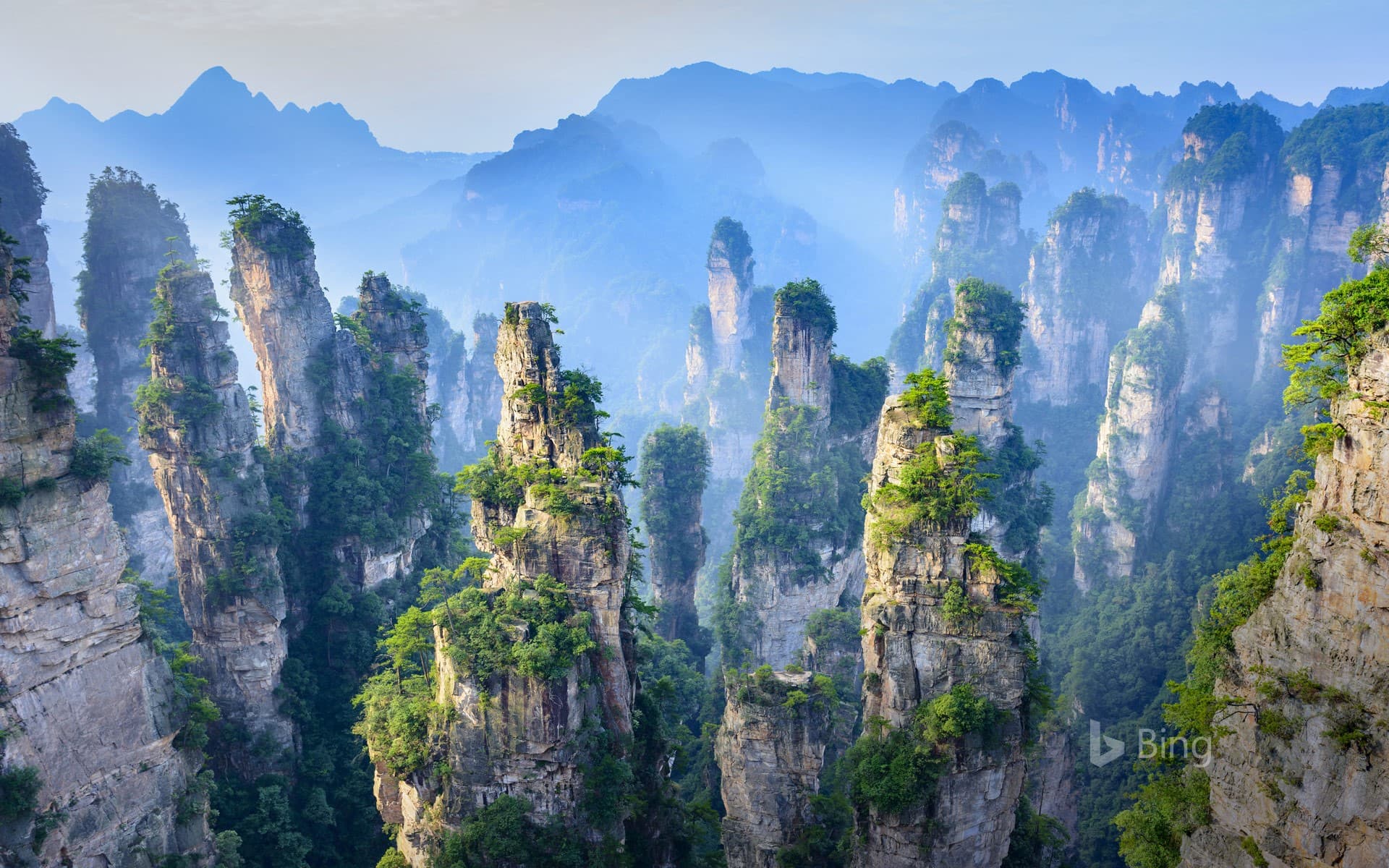 Bing Wallpaper: Zhangjiajie National Forest Park in Hunan Province, China
