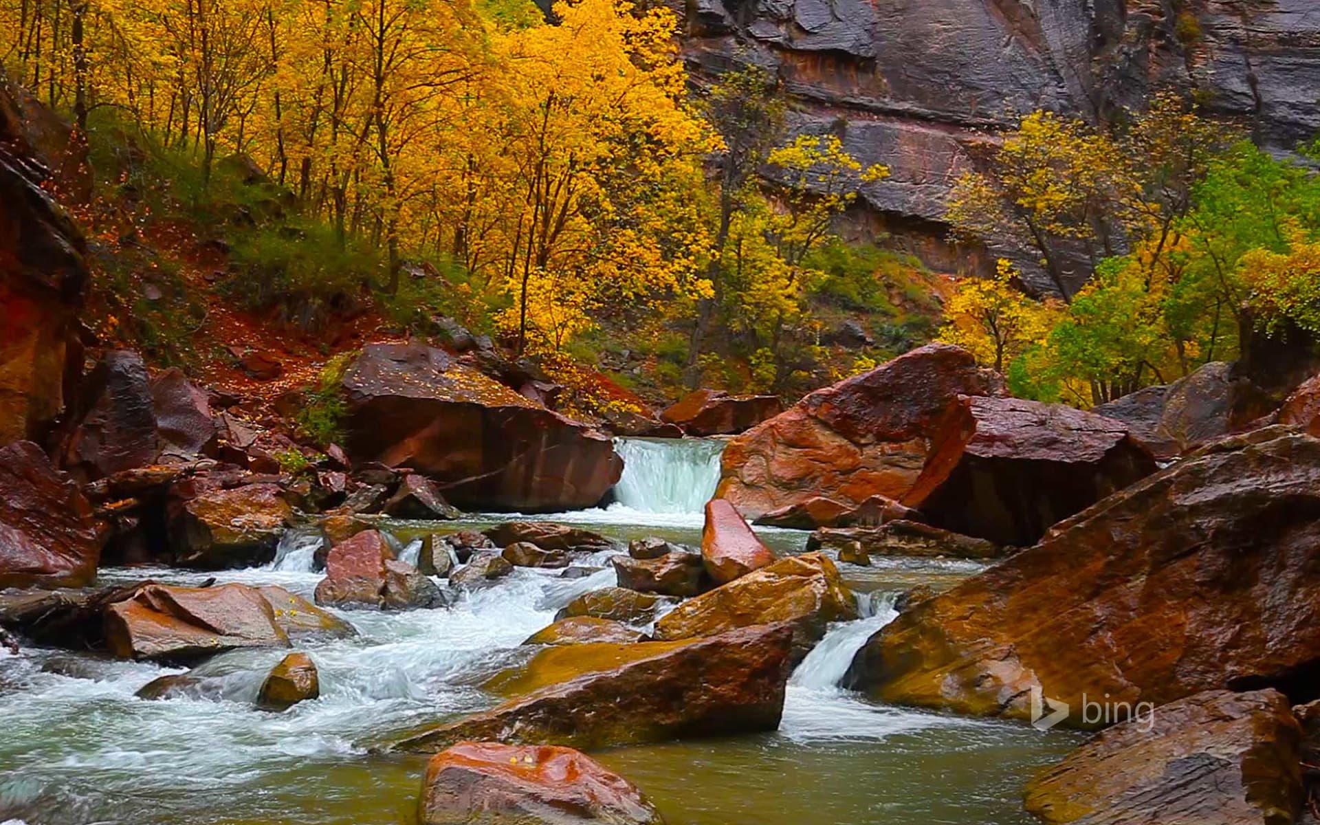 Bing Wallpaper: North Fork of the Virgin River, Zion Canyon, Utah