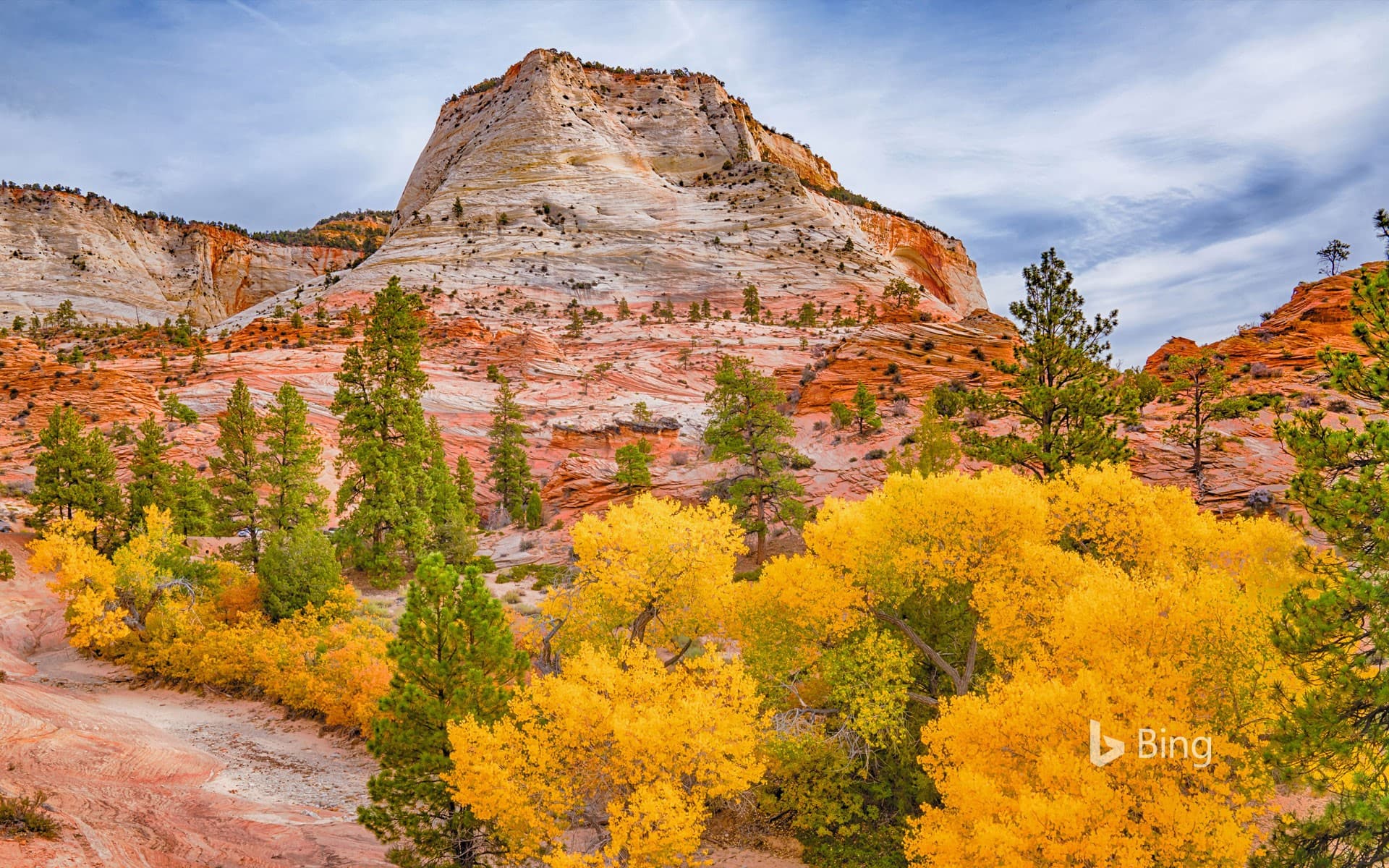 Bing Wallpaper: Fall colors in Zion National Park, Utah