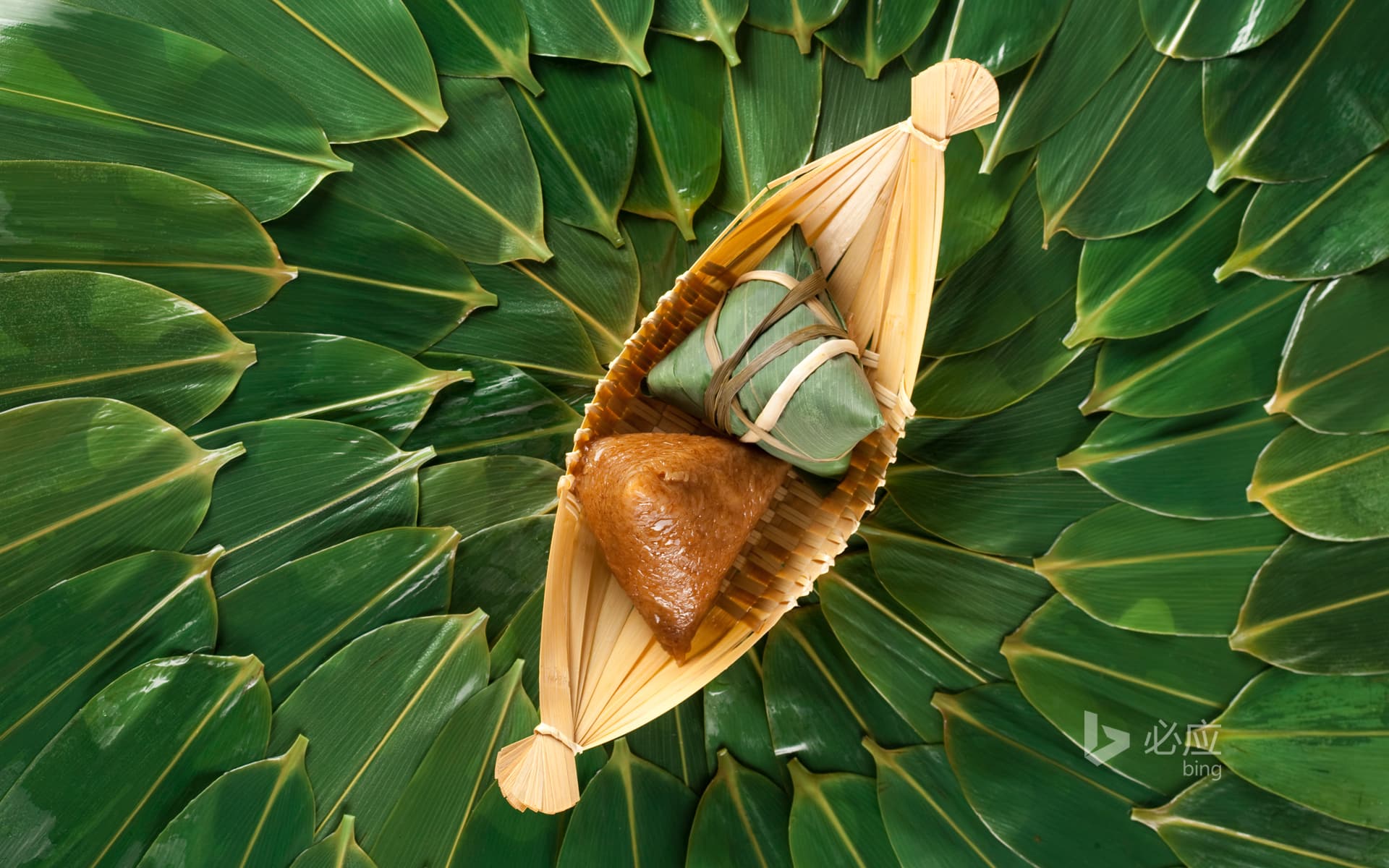 Bing Wallpaper: Gardenia and Gardenia