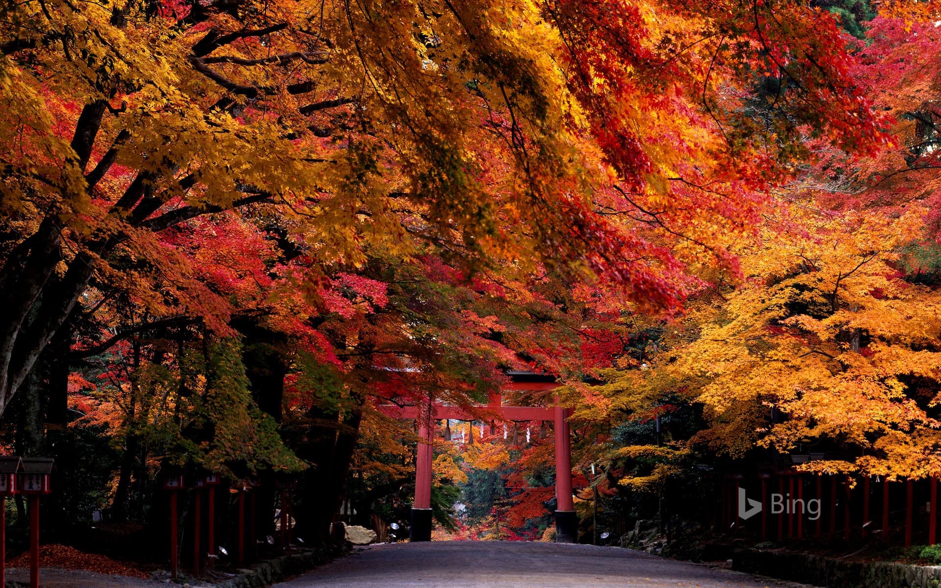 Bing Wallpaper: "Hiyoshi Taisha" Shiga, Otsu